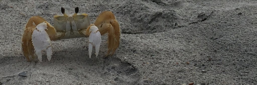 ascheele07's profile banner image