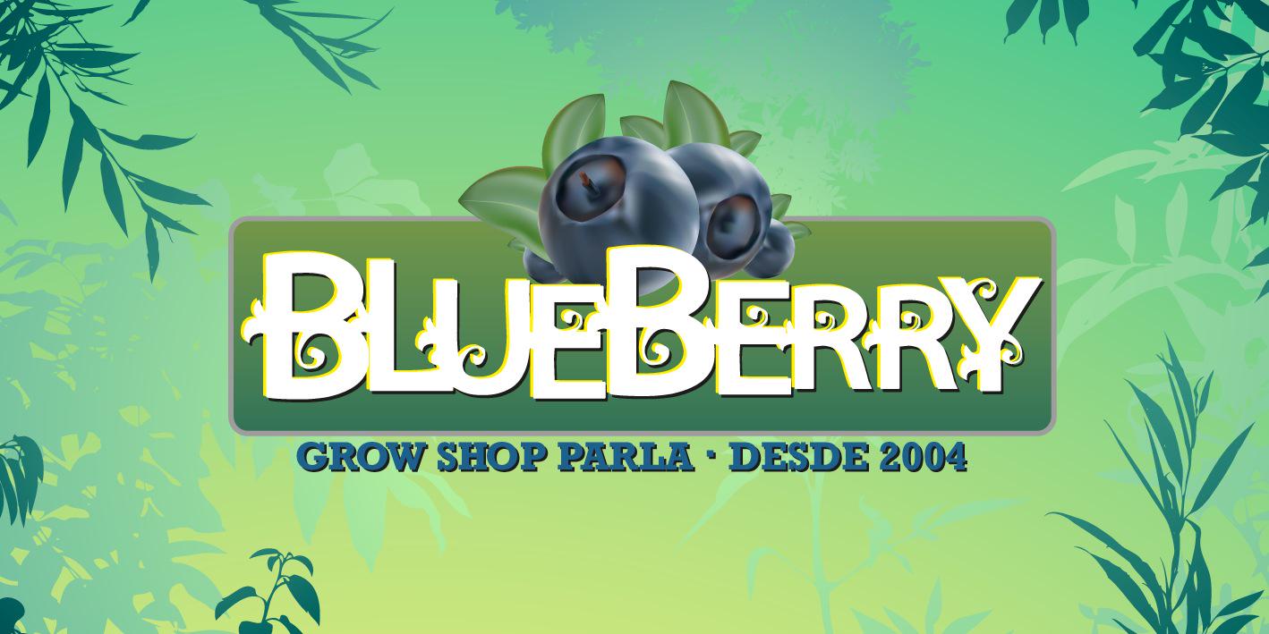 Grow_Blueberry's profile banner image