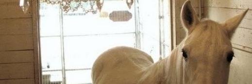 tugcealtug's profile banner image