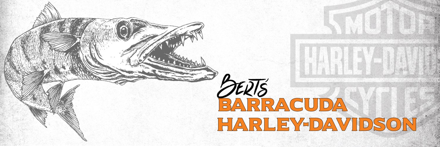 bertsbarracuda's profile banner image
