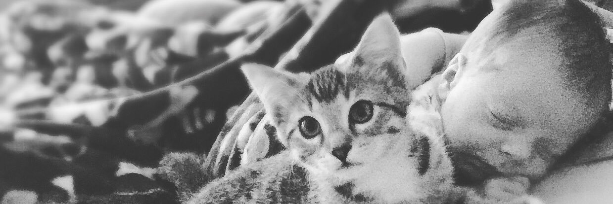 VictoriaTaylor5's profile banner image