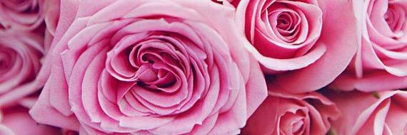 caragorton's profile banner image