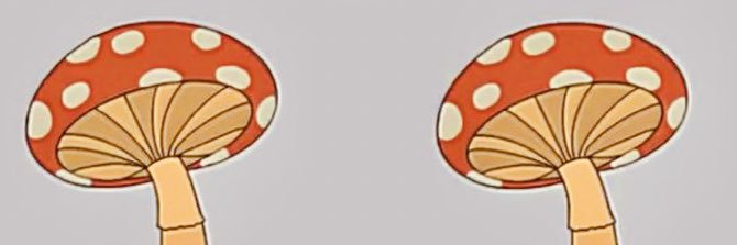 KionaClary's profile banner image