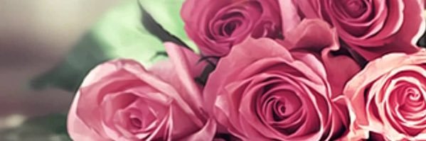 yygg5599's profile banner image