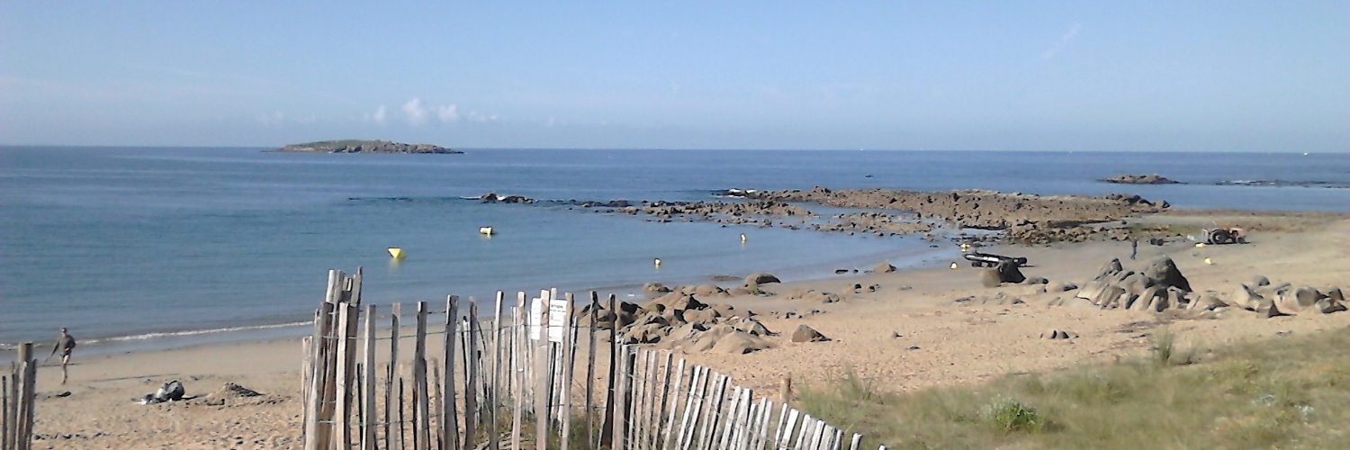 Catherine Moncel banner