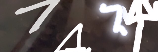 bettaforum's profile banner image