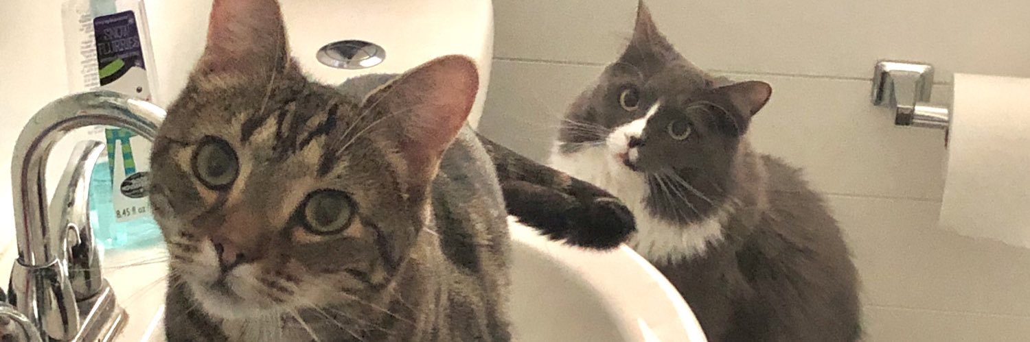 Notbluebland's profile banner image
