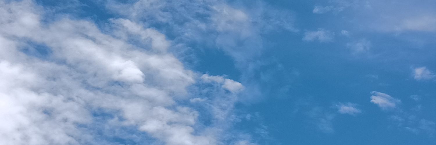 aeristeia's profile banner image