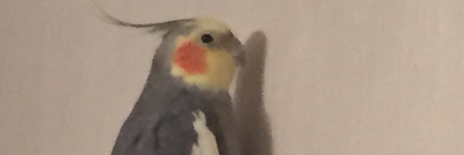 JonPearcy's profile banner image