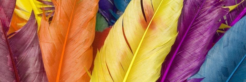 miniminiminemin's profile banner image