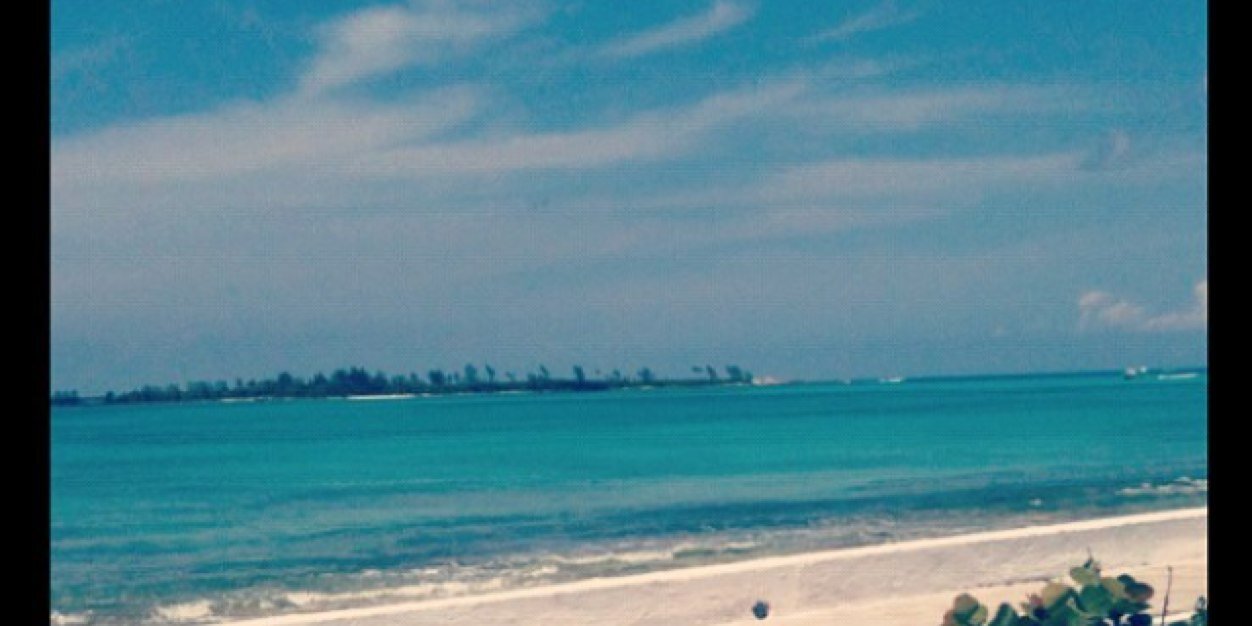 christine_toal's profile banner image