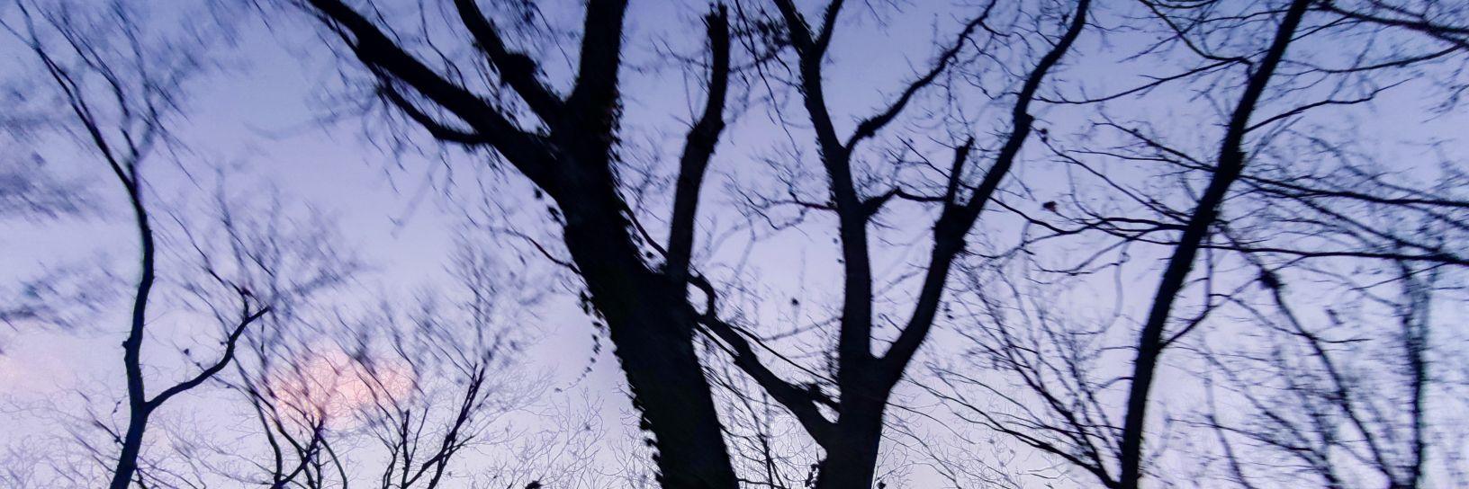 𝐒𝐭𝐞𝐩𝐡🧚🏽‍♀️ banner