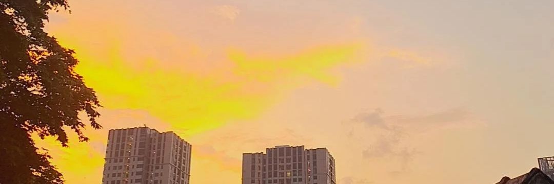 shntynmi's profile banner image