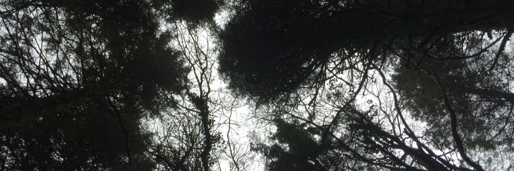 Markjkenn's profile banner image