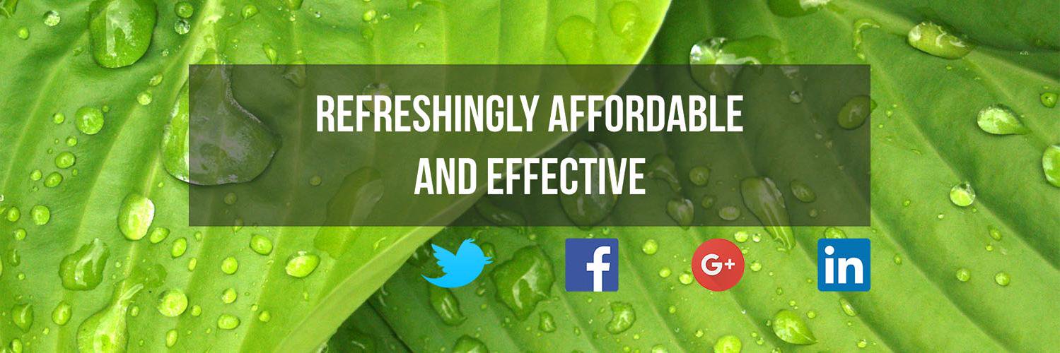 MINT Social banner
