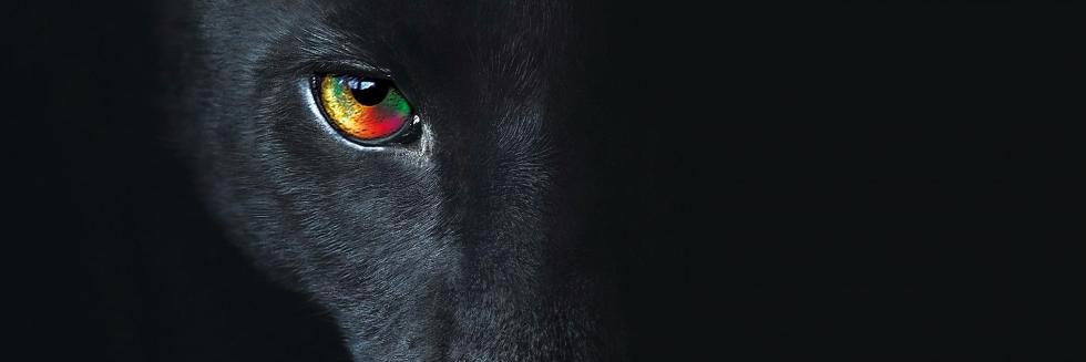 JCMartinezOk's profile banner image