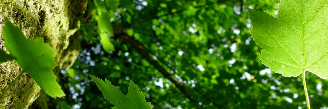 JP Associates banner