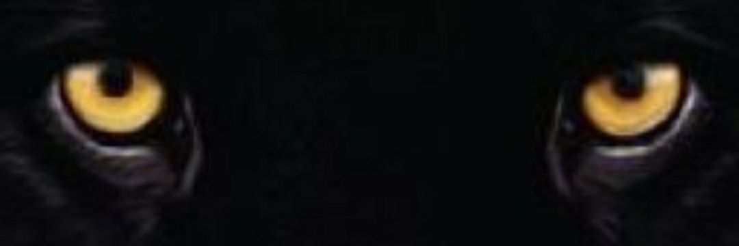 FeBecknell's profile banner image