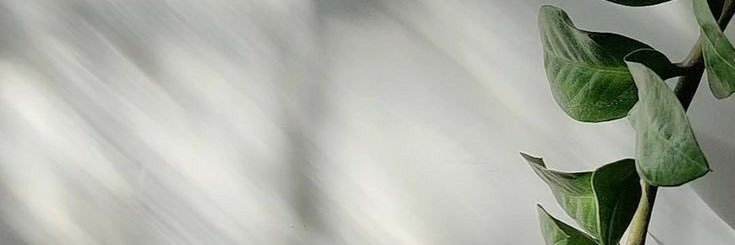 andreow3105's profile banner image