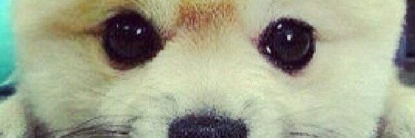 Yo da fella 2... the return of the Jedi! banner