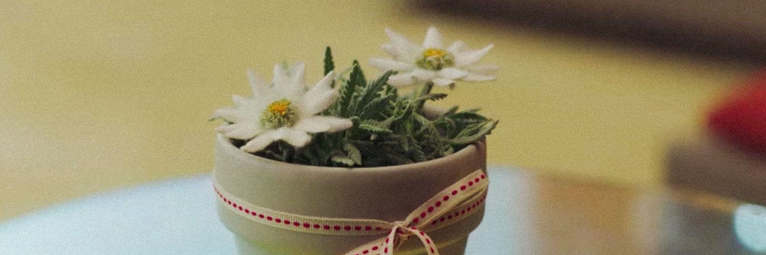 LaEdeweiss's profile banner image