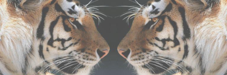 _moderngirl2's profile banner image