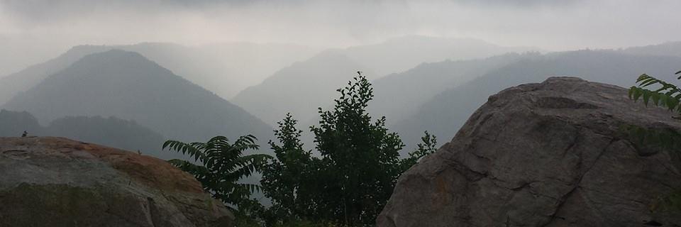 Friends of Coal banner