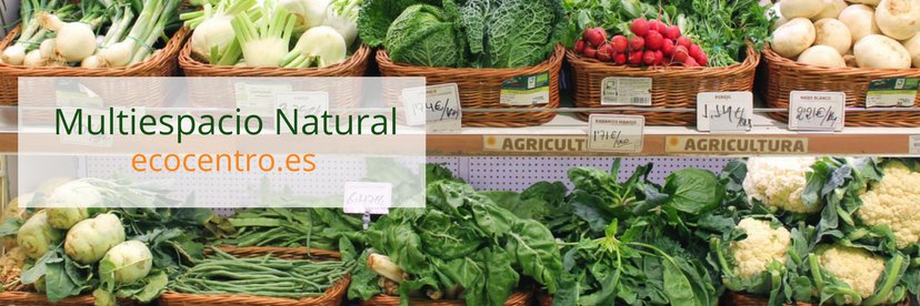 Ecocentro banner