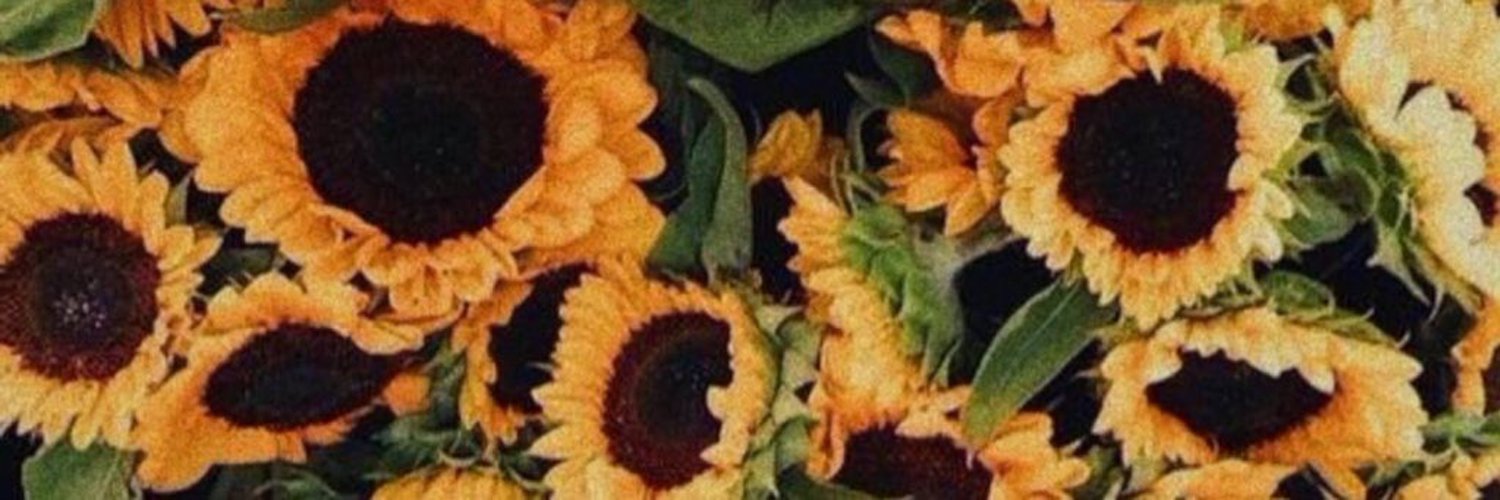 _madnessss's profile banner image