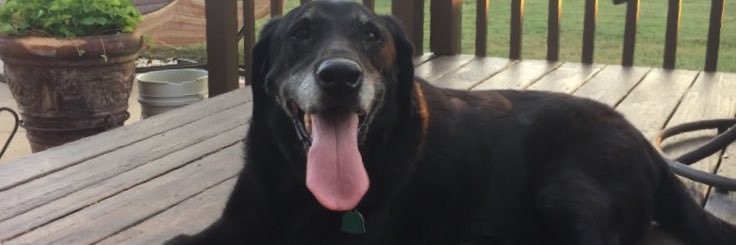 FergusonKelsie's profile banner image