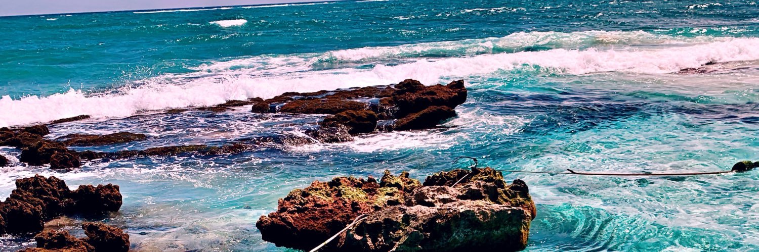 magui_du's profile banner image