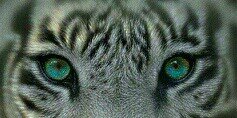 Rubia093's profile banner image