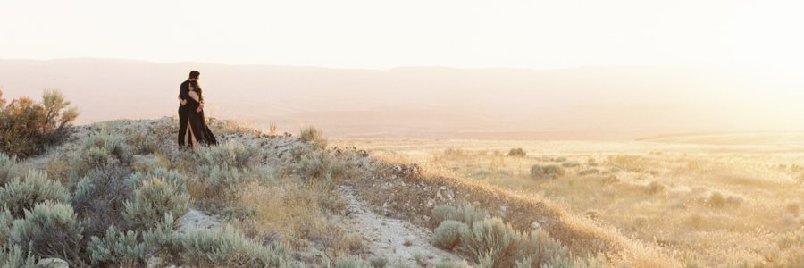 Blue Rose Pictures banner