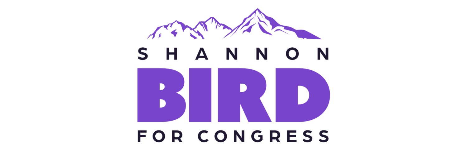 Representative Shannon Bird's banner