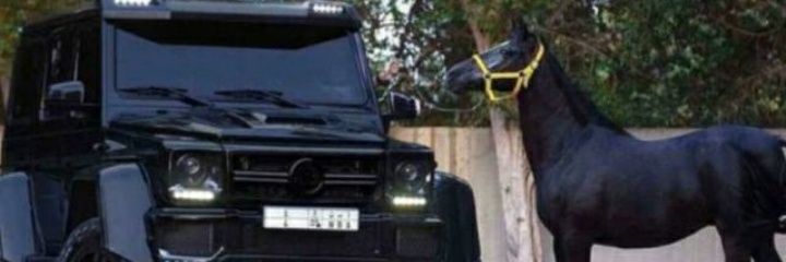 Outoflaw2010's profile banner image