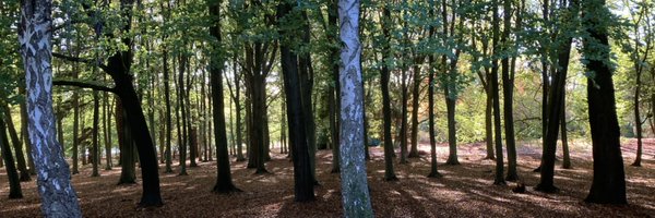 eewrong Profile Banner