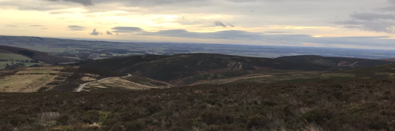 WarrenCraik's profile banner image