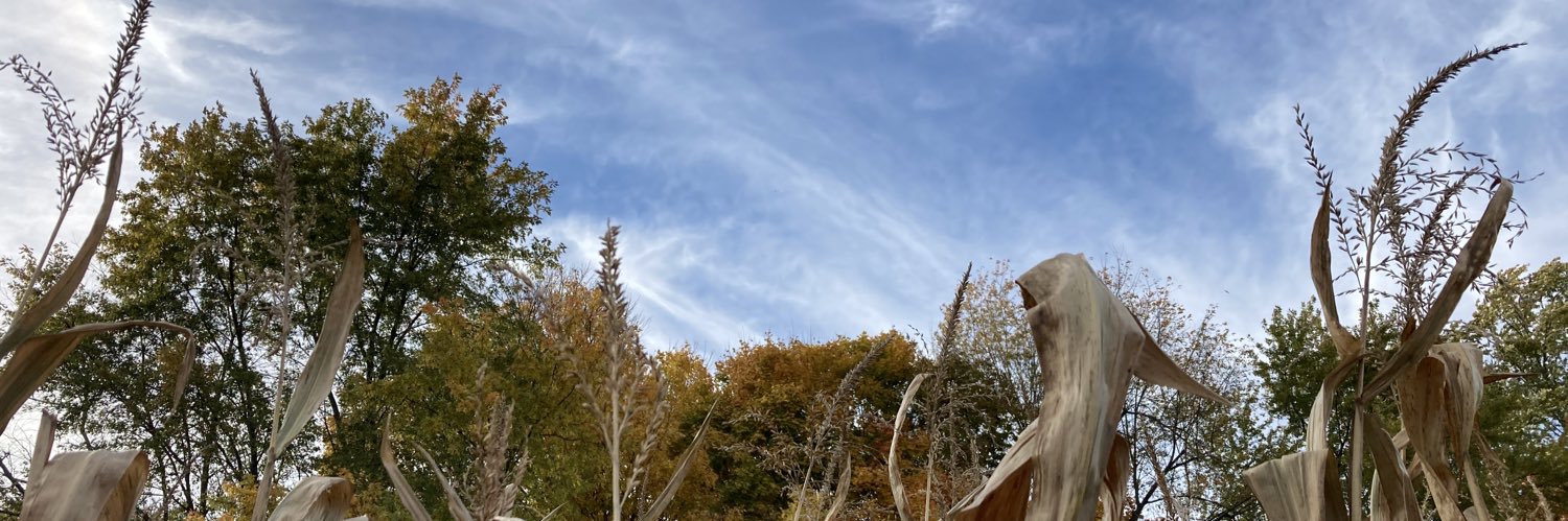 GoldsmithMB's profile banner image