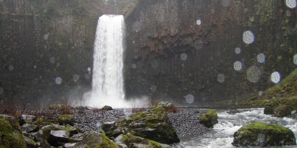 Morgan Shimabuku banner