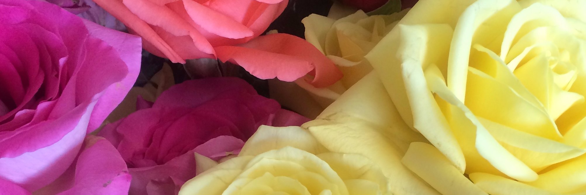 AngelaOUTulsa's profile banner image