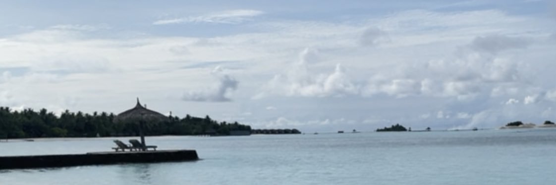 Saraalm1998's profile banner image