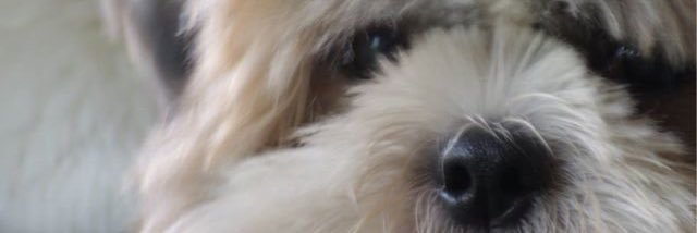 KstOrf's profile banner image
