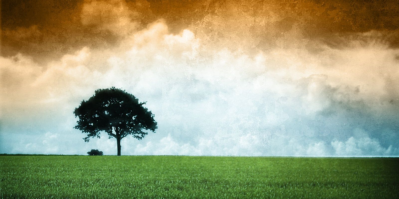 mainakdutta88's profile banner image