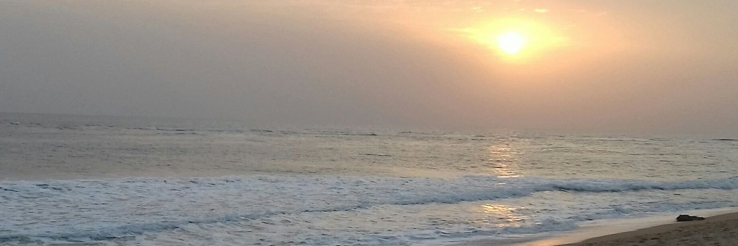 PHAELZ00's profile banner image