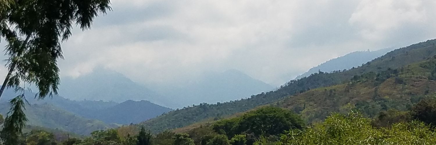 SemanticsAreFun's profile banner image