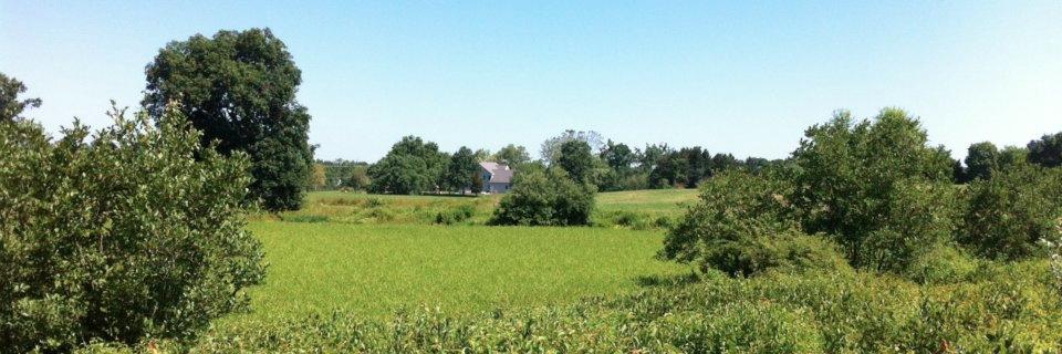 SWindsorPatch's profile banner image