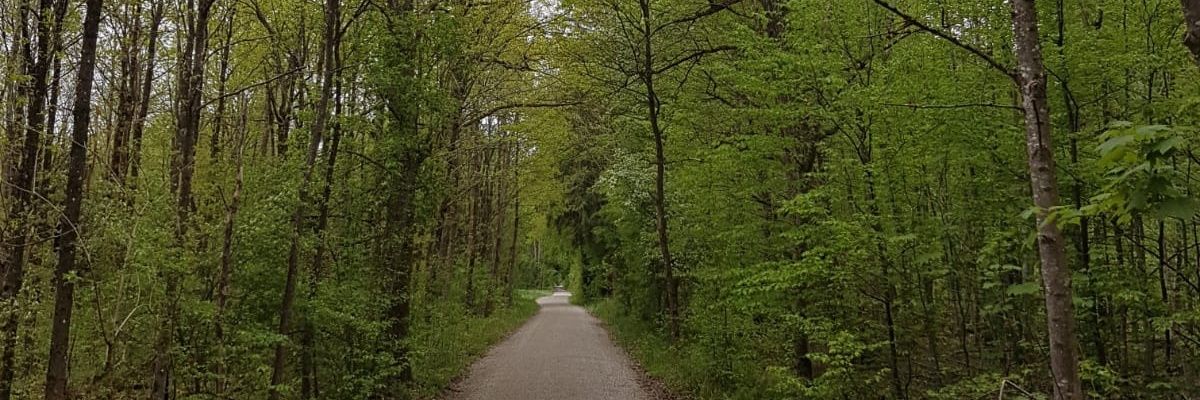 Lifethefullspec's profile banner image