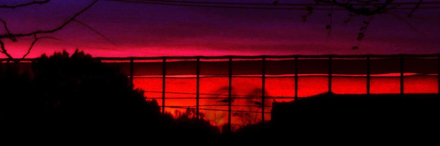 vinnieharned's profile banner image