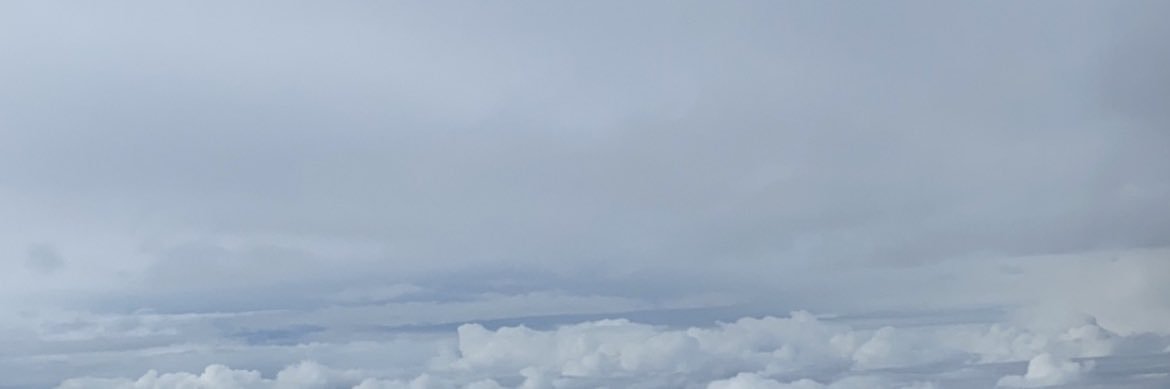 محمد ناصر السبيعي banner