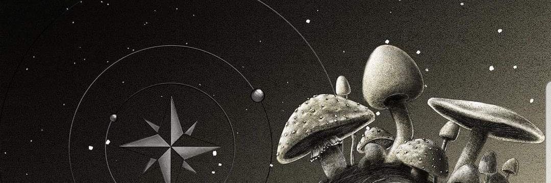 CarsonNess's profile banner image